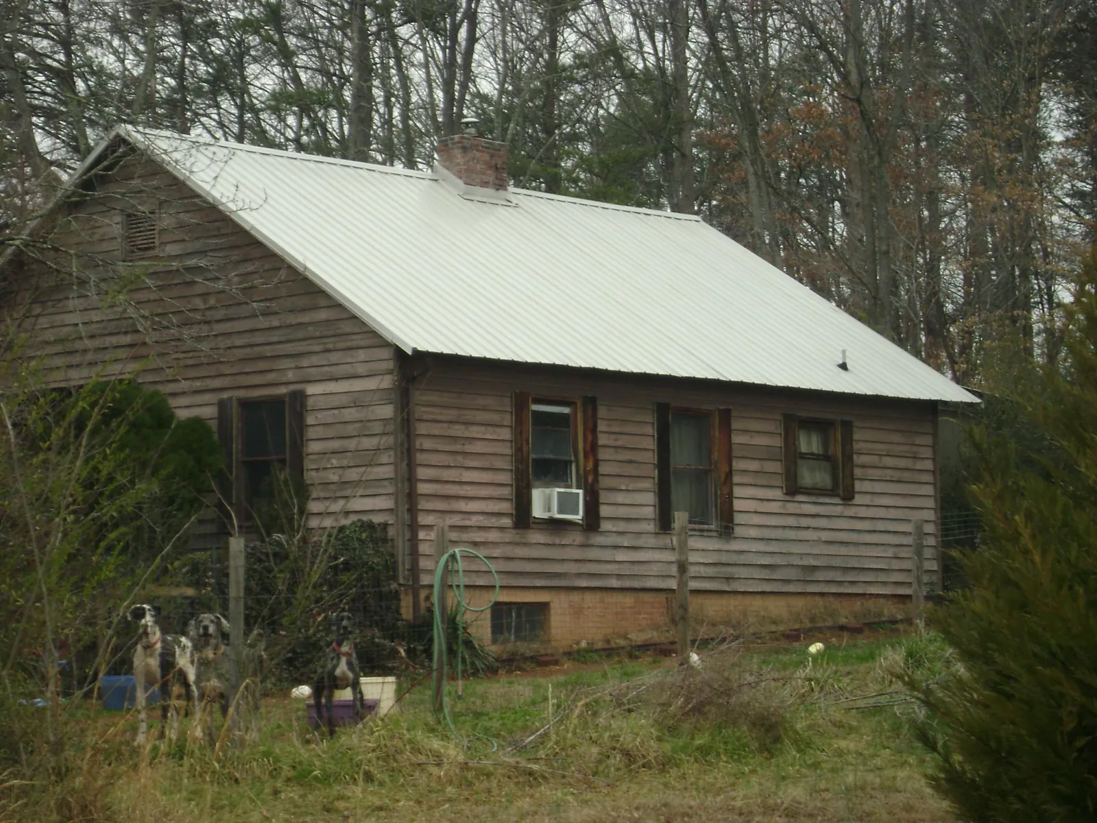White metal roof on an old wood sided farmhouse, from a Asphalt Shingle Roof Repair job in Northfork